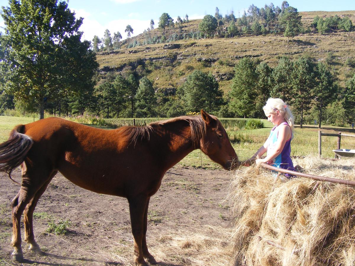 Meadow Lane Country Cottages Underberg Eksteriør bilde